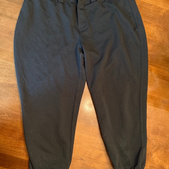 Demarini Softball Pants - Picture 1 of 3